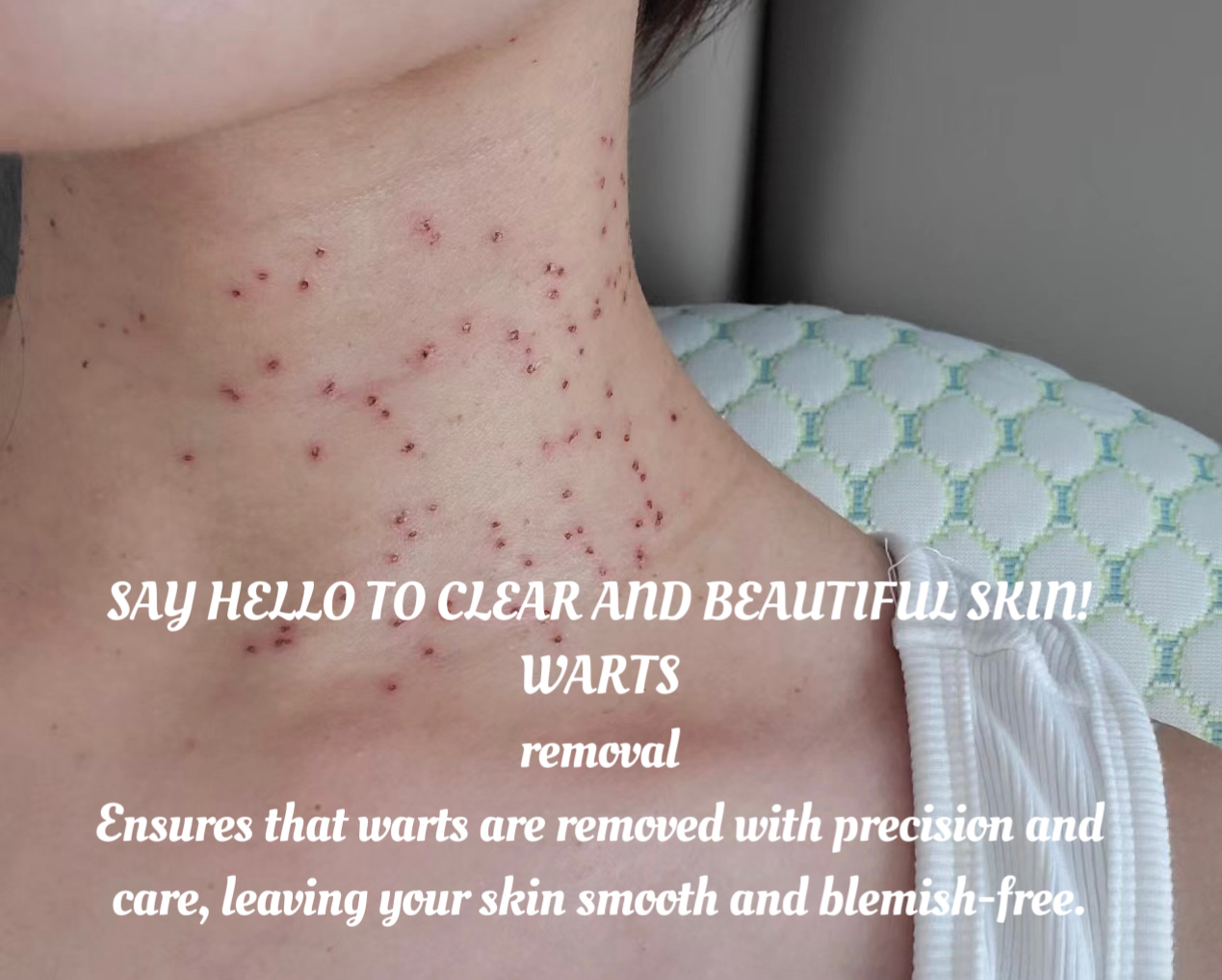 微信图片_20241111090442